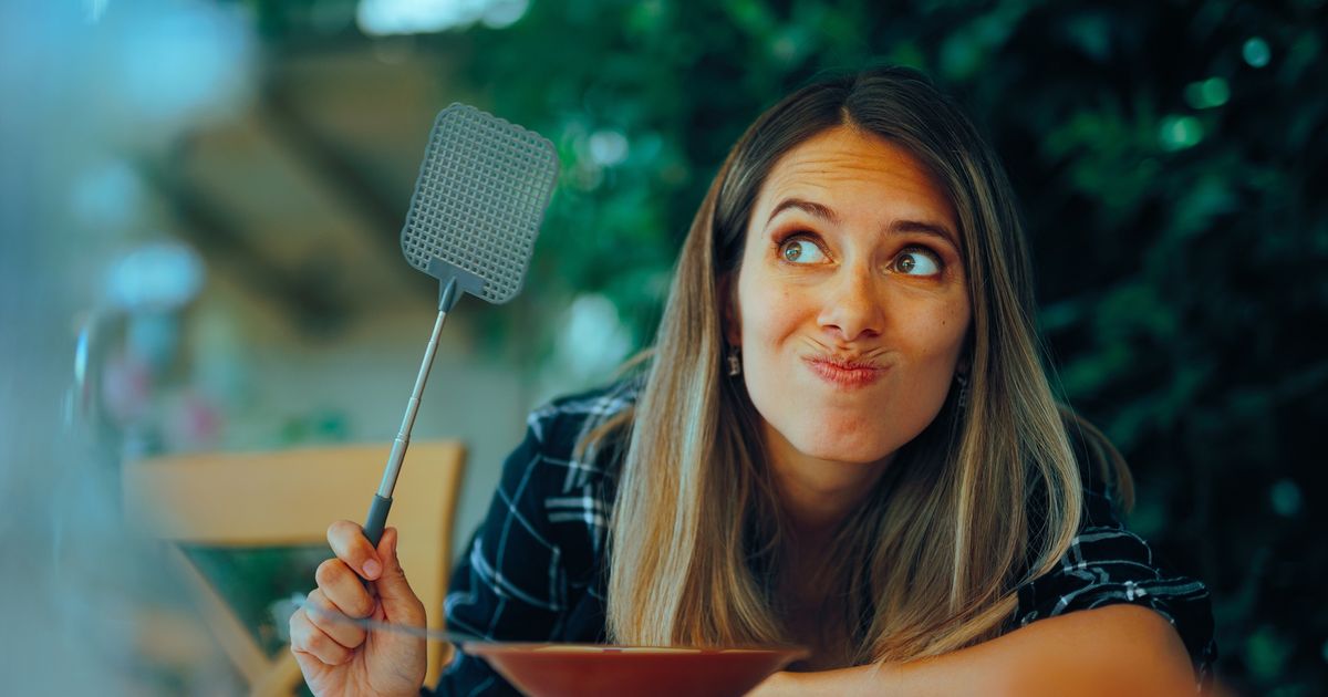 Kann man ein Lebensmittel essen, das von einer Fliege berührt wurde?
